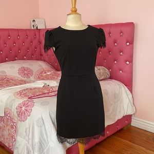 Black Betsey Johnson Dress with Lace Triming